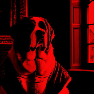 Z Zgo[i[h  z NbVJo[ 45×45cm Aj}   NbV{̕t ` t@