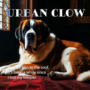 O~ Zgo[i[h  CeA  NbVJo[ 45×45cm Aj}   NbV{̕t ` t@