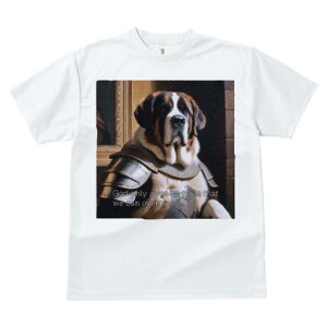 TVc fB[X t@  t  vg JWA 킢 lԗp tBbglX _X Z Zgo[i[h t[ z G 