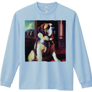 TVc lԗp Y Ht vg W[ AEghA JWA 킢 t@ G Zgo[i[h  i l