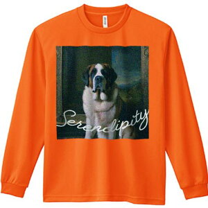 TVc lԗp Y Ht vg W[ AEghA JWA 킢 t@ G Zgo[i[h z