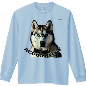 TVc lԗp Y Ht vg W[ AEghA JWA 킢 t@ NbVJo[ 45×45cm Aj}   NbV{̕t