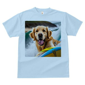 TVc Y LbY t@  t  vg JWA 킢 lԗp tBbglX _X T[tB S[fgo[ g r[` y