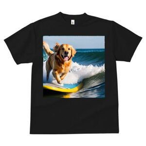 TVc fB[X t@  t  vg JWA 킢 lԗp tBbglX _X T[tB S[fgo[ C g Ί