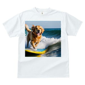 TVc Y LbY t@  t  vg JWA 킢 lԗp tBbglX _X T[tB S[fgo[ C g Ί