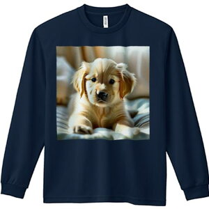 TVc lԗp Y Ht vg W[ AEghA JWA 킢 t@ T[tB S[fgo[ C g y