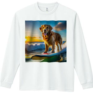 TVc lԗp Y Ht vg W[ AEghA JWA 킢 t@ T[t{[h S[fgo[ g [ C