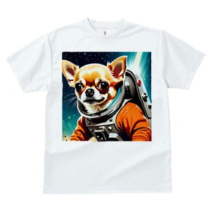 TVc fB[X t@  t  vg JWA 킢 lԗp tBbglX _X F ` F Xy[X 