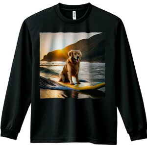 TVc lԗp Y Ht vg W[ AEghA JWA 킢 t@ T[t{[h S[fgo[ C [ g