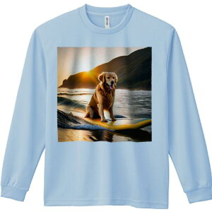 TVc lԗp Y Ht vg W[ AEghA JWA 킢 t@ T[t{[h S[fgo[ C [ g