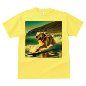 TVc Y LbY t@  t  vg JWA 킢 lԗp tBbglX _X T[tB S[fgo[ C g