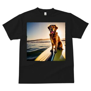 TVc fB[X t@  t  vg JWA 킢 lԗp tBbglX _X T[t{[h S[fgo[ C [