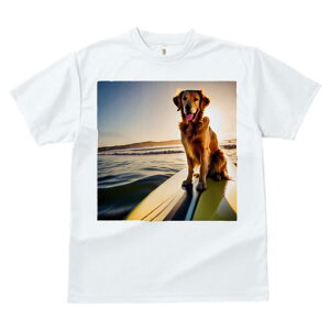 TVc fB[X t@  t  vg JWA 킢 lԗp tBbglX _X T[t{[h S[fgo[ C [