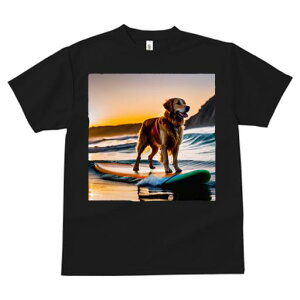 TVc fB[X t@  t  vg JWA 킢 lԗp tBbglX _X T[t{[h S[fg[o[ [ C