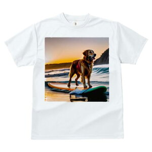 TVc fB[X t@  t  vg JWA 킢 lԗp tBbglX _X T[t{[h S[fg[o[ [ C