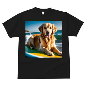 TVc fB[X t@  t  vg JWA 킢 lԗp tBbglX _X T[t{[h S[fgo[ C g r[`