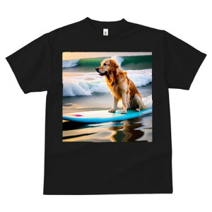 TVc fB[X t@  t  vg JWA 킢 lԗp tBbglX _X T[tB S[fgo[ C g