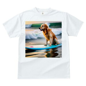 TVc fB[X t@  t  vg JWA 킢 lԗp tBbglX _X T[tB S[fgo[ C g