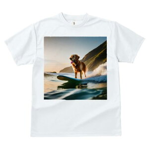 TVc fB[X t@  t  vg JWA 킢 lԗp tBbglX _X T[tB S[fgo[ C g TZbg nbs[