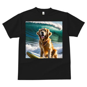 TVc fB[X t@  t  vg JWA 킢 lԗp tBbglX _X T[tB S[fgo[ g C