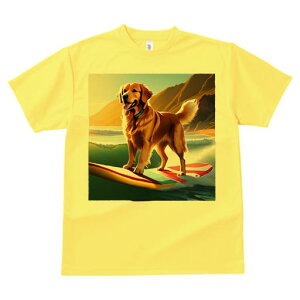 TVc Y LbY t@  t  vg JWA 킢 lԗp tBbglX _X T[tB S[fgo[ [ C g NbVJo[