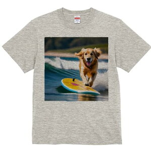 TVc Y LbY t@  t  vg JWA 킢 lԗp tBbglX _X T[tB S[fgo[ C g