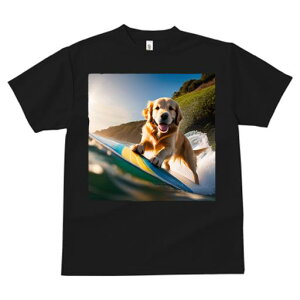 TVc fB[X t@  t  vg JWA 킢 lԗp tBbglX _X T[tB S[fgo[ g  C AEghA