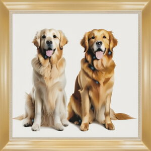 z S[fgo[ Ί̌ ybg NbVJo[ 45×45cm Aj}   NbV{̕t ` t@