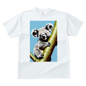 TVc fB[X t@  t  vg JWA 킢 lԗp tBbglX _X  [J RA 