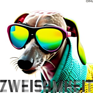 �T���O���X �C�^���A���O���[�n�E���h �N�[�� �N�b�V�����J�o�[ 45×45cm �A�j�}���� ������� ���� �N�b�V�����{�̕t�� �����` ���t�@��