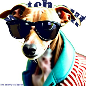 TOX C^AO[nEh  NbVJo[ 45×45cm Aj}   NbV{̕t ` t@