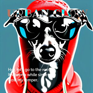 Xg[gt@bV {[_[R[ N[ qbvzbv TOX p[J[ NbVJo[ 45×45cm Aj}   NbV{̕t ` t@