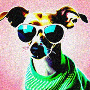 TOX C^AO[nEh TVc NbVJo[ 45×45cm Aj}   NbV{̕t ` t@