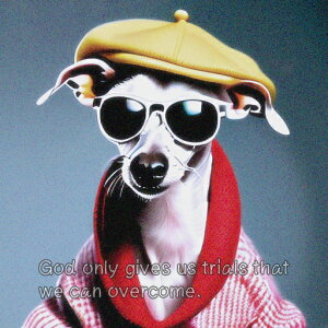 Xq C^AO[nEh TOX  NbVJo[ 45×45cm Aj}   NbV{̕t ` t@