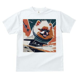 TVc fB[X t@  t  vg JWA 킢 lԗp tBbglX _X F |jA Pbg Xy[XVg 퓬@