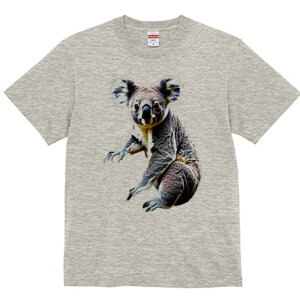 TVc Y LbY t@  t  vg JWA 킢 lԗp tBbglX _X RA  I[XgA ʂ