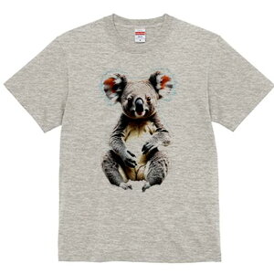 TVc Y LbY t@  t  vg JWA 킢 lԗp tBbglX _X RA  I[XgA ʂ