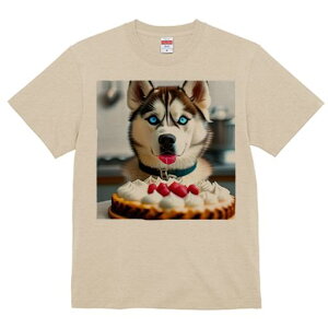 TVc Y LbY t@  t  vg JWA 킢 lԗp tBbglX _X P[L VxAnXL[ XC[c fU[g