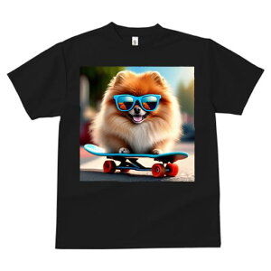 TVc fB[X t@  t  vg JWA 킢 lԗp tBbglX _X TOX |jA XP[g{[h