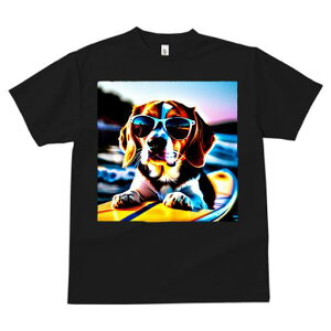 TVc fB[X t@  t  vg JWA 킢 lԗp tBbglX _X TOX r[O T[t{[h C