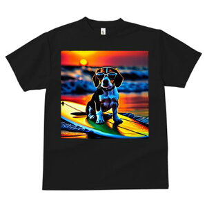 TVc fB[X t@  t  vg JWA 킢 lԗp tBbglX _X TOX r[O T[t{[h C [Ă