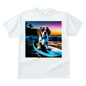 TVc Y LbY t@  t  vg JWA 킢 lԗp tBbglX _X T[tB r[O C [Ă TOX