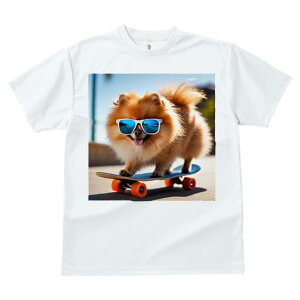 TVc fB[X t@  t  vg JWA 킢 lԗp tBbglX _X TOX |jA XP[g{[h