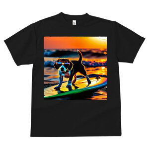 TVc fB[X t@  t  vg JWA 킢 lԗp tBbglX _X T[tB r[O C [ TOX