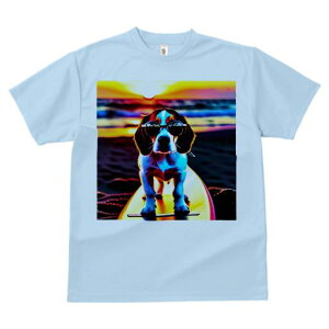 TVc Y LbY t@  t  vg JWA 킢 lԗp tBbglX _X T[tB r[O r[` [ TOX