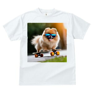 TVc fB[X t@  t  vg JWA 킢 lԗp tBbglX _X TOX |jA XP[g{[h