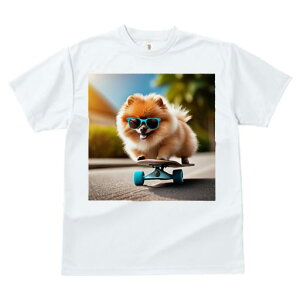 TVc fB[X t@  t  vg JWA 킢 lԗp tBbglX _X TOX |jA XP[g{[h