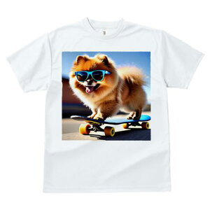 TVc fB[X t@  t  vg JWA 킢 lԗp tBbglX _X XP[g{[h |jA TOX