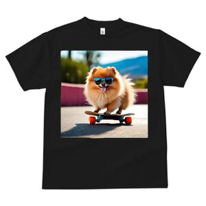 TVc fB[X t@  t  vg JWA 킢 lԗp tBbglX _X TOX |jA XP[g{[h