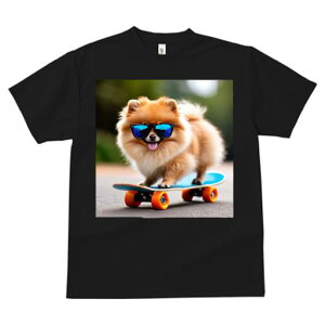 TVc fB[X t@  t  vg JWA 킢 lԗp tBbglX _X TOX |jA XP[g{[h